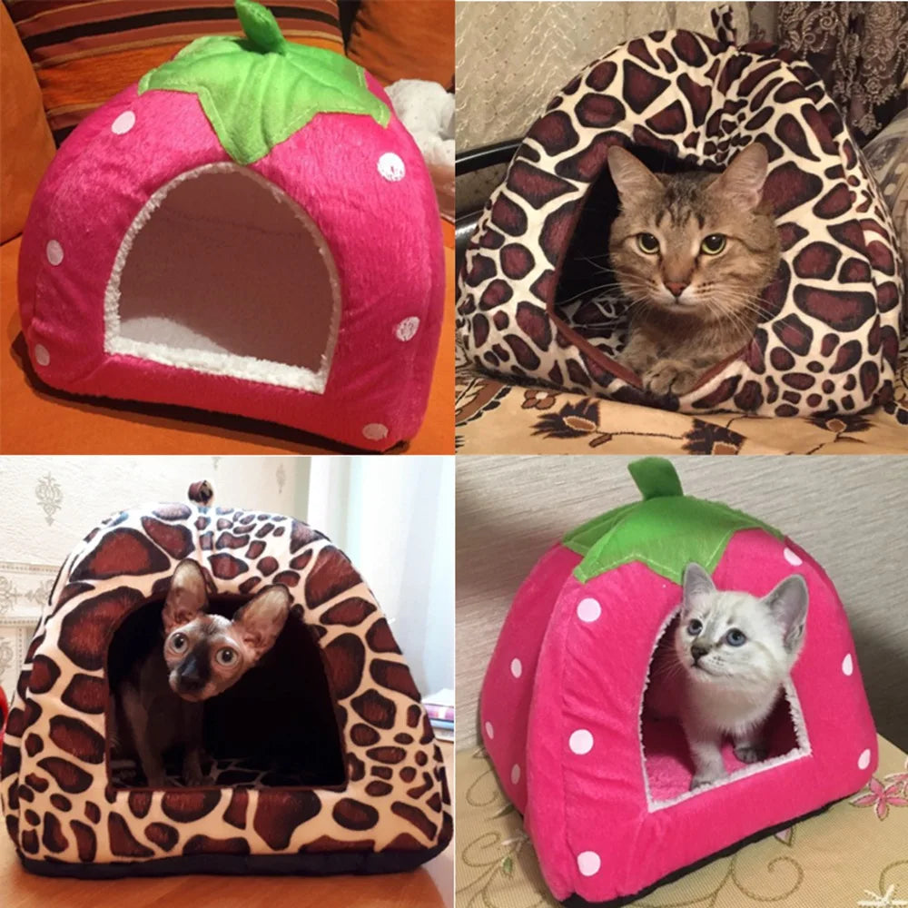 Casa/cama morango para gato