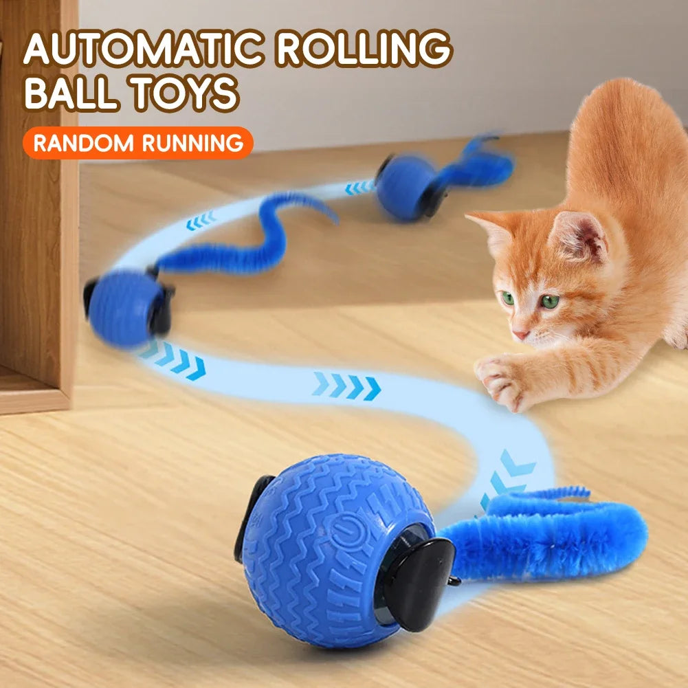 Bola de brinquedo para gatos é transportada via USB e possui uma estrutura de plástico resistente, proporcionando entretenimento interativo para os felinos