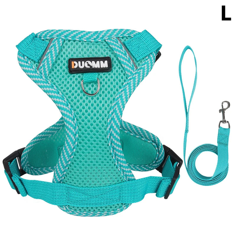 Conjunto de coleira, corda e colete refletor para gatos