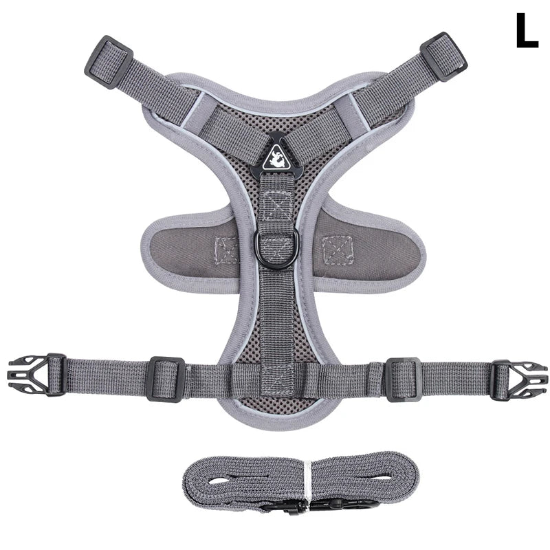 Conjunto de coleira, corda e colete refletor para gatos