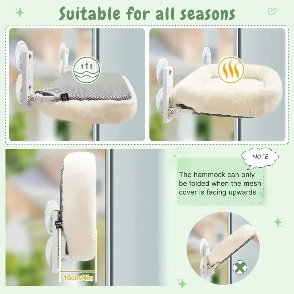 Rede de gatos para Janela