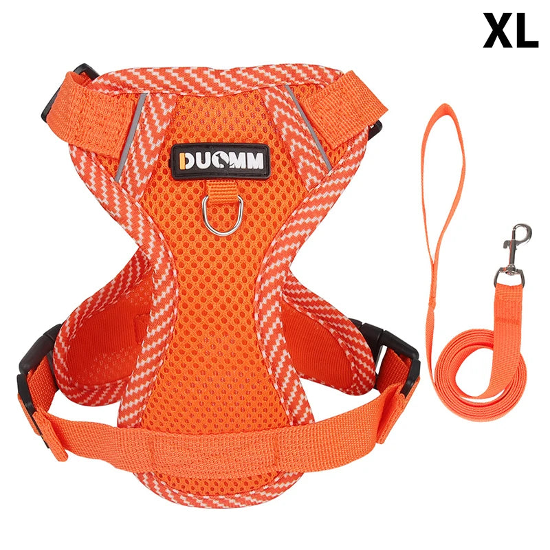 Conjunto de coleira, corda e colete refletor para gatos