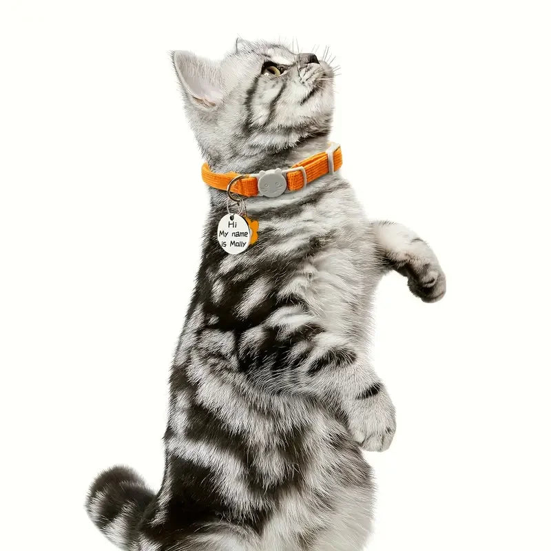 Coleira com placa personalizada