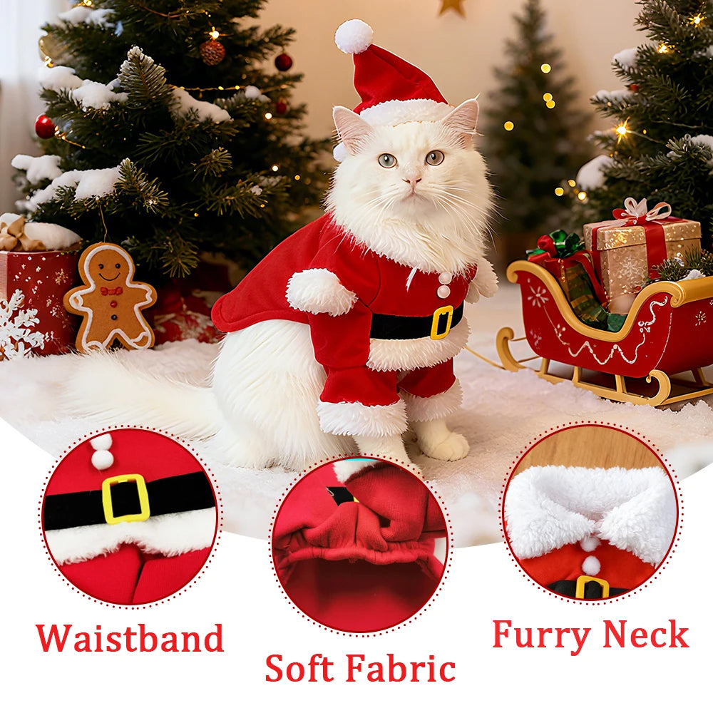 Roupa de Natal para Gatos