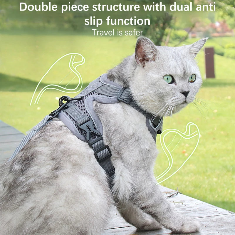 Conjunto de coleira, corda e colete refletor para gatos