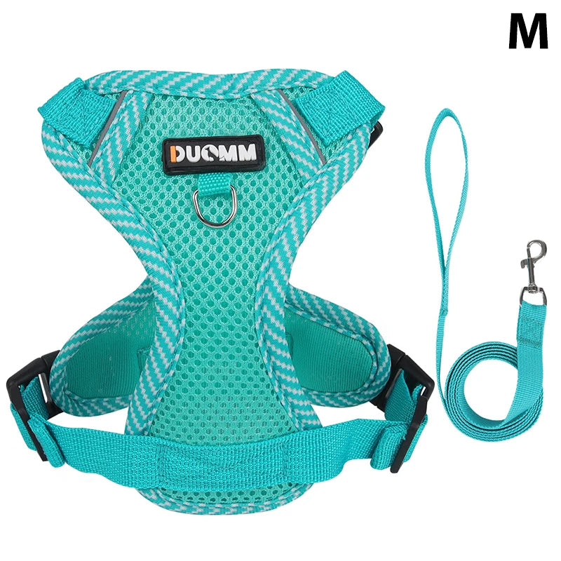 Conjunto de coleira, corda e colete refletor para gatos