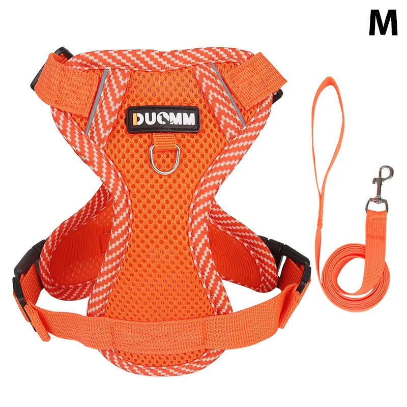 Conjunto de coleira, corda e colete refletor para gatos