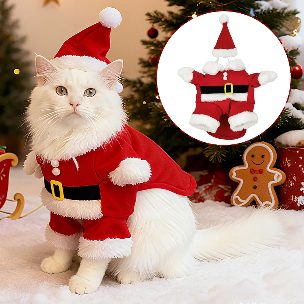 Roupa de Natal para Gatos