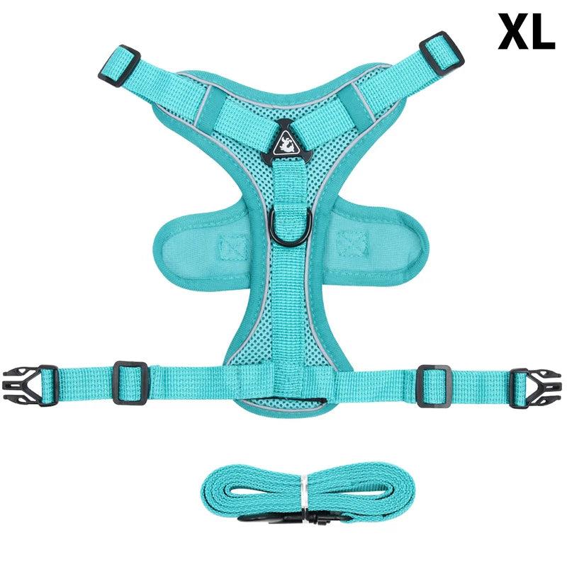 Conjunto de coleira, corda e colete refletor para gatos