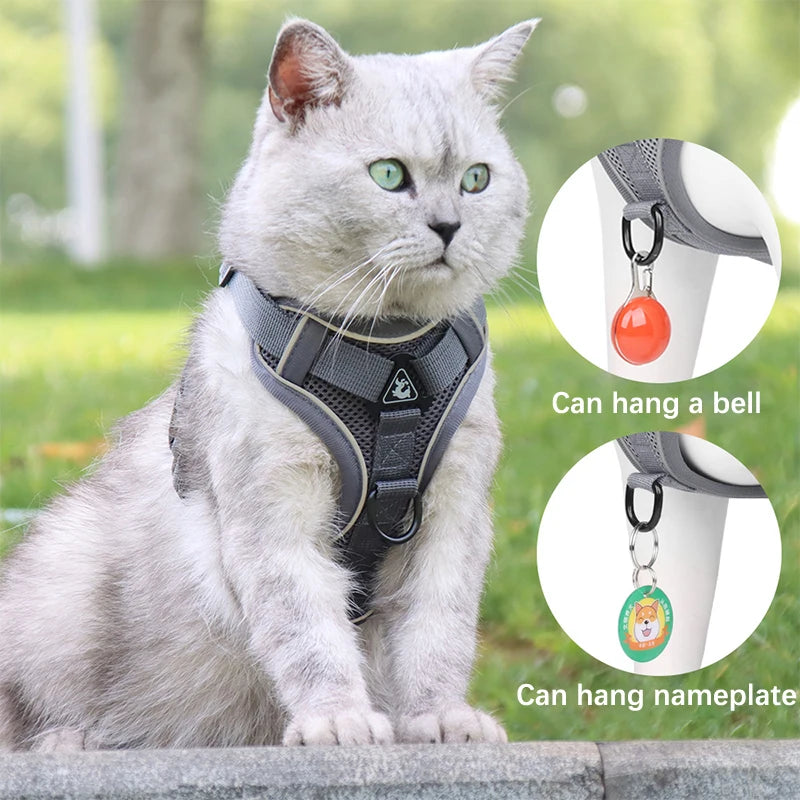 Conjunto de coleira, corda e colete refletor para gatos