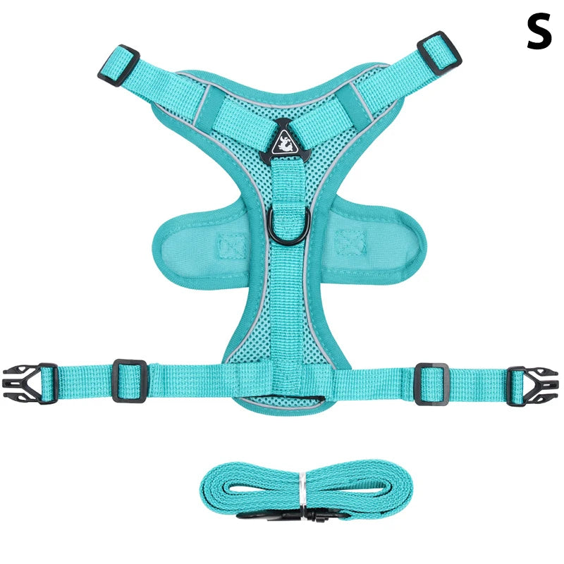 Conjunto de coleira, corda e colete refletor para gatos