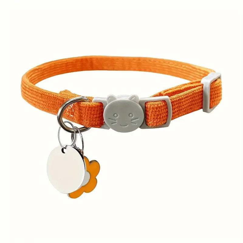 Coleira com placa personalizada