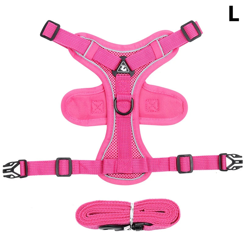 Conjunto de coleira, corda e colete refletor para gatos