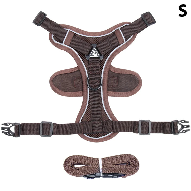 Conjunto de coleira, corda e colete refletor para gatos