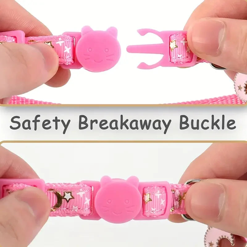 Coleira com placa personalizada