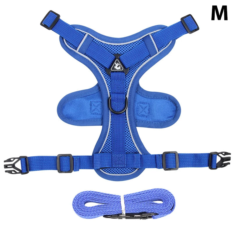 Conjunto de coleira, corda e colete refletor para gatos