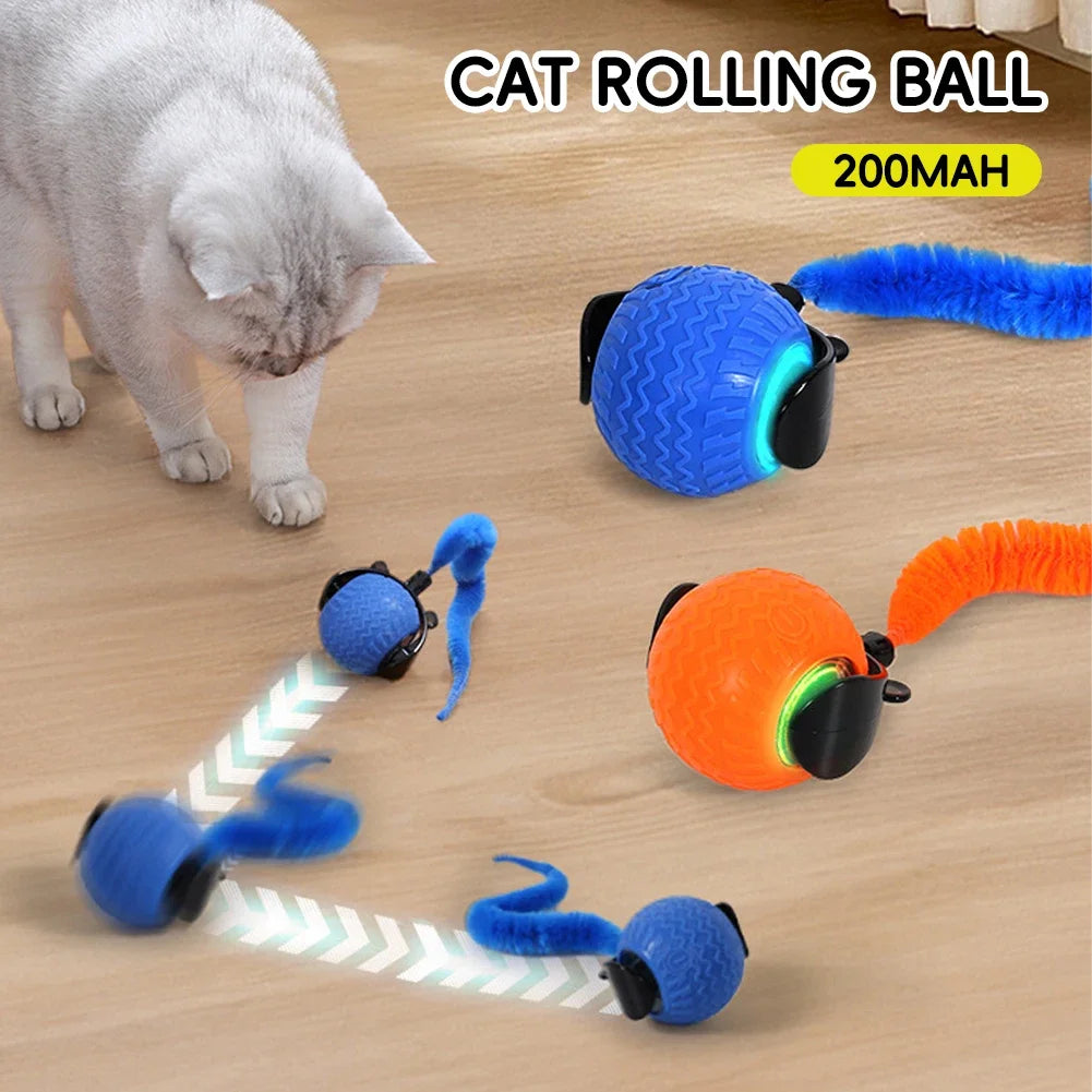 Bola de brinquedo para gatos é transportada via USB e possui uma estrutura de plástico resistente, proporcionando entretenimento interativo para os felinos