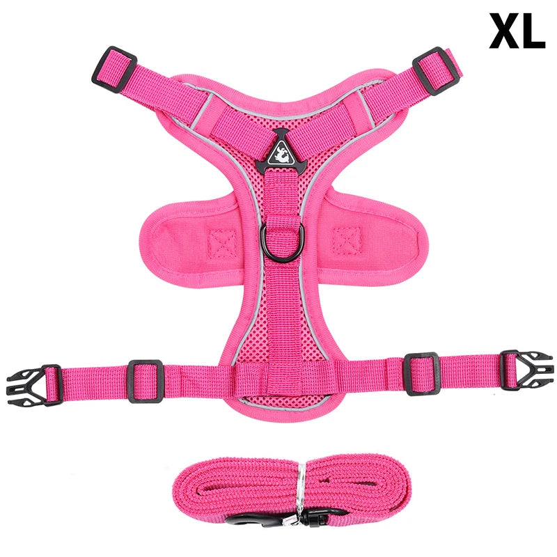 Conjunto de coleira, corda e colete refletor para gatos