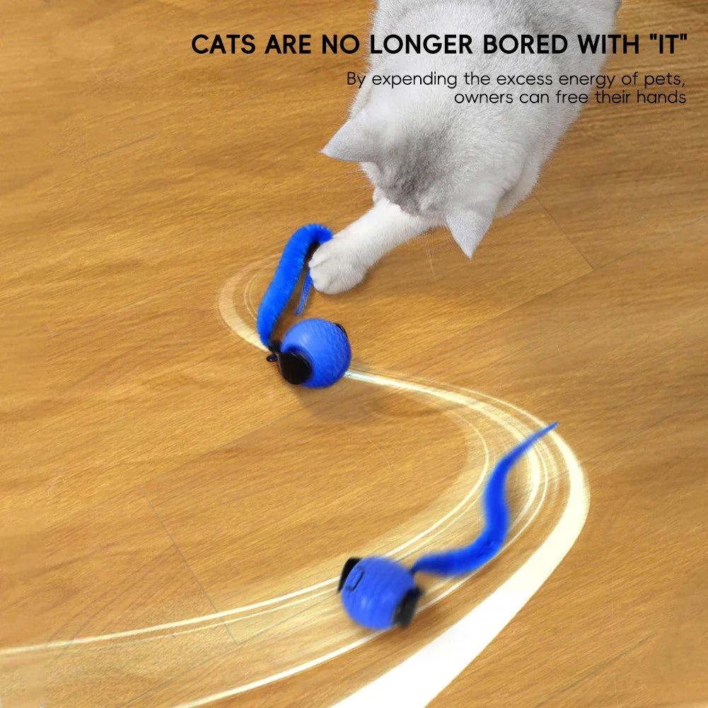 Bola de brinquedo para gatos é transportada via USB e possui uma estrutura de plástico resistente, proporcionando entretenimento interativo para os felinos