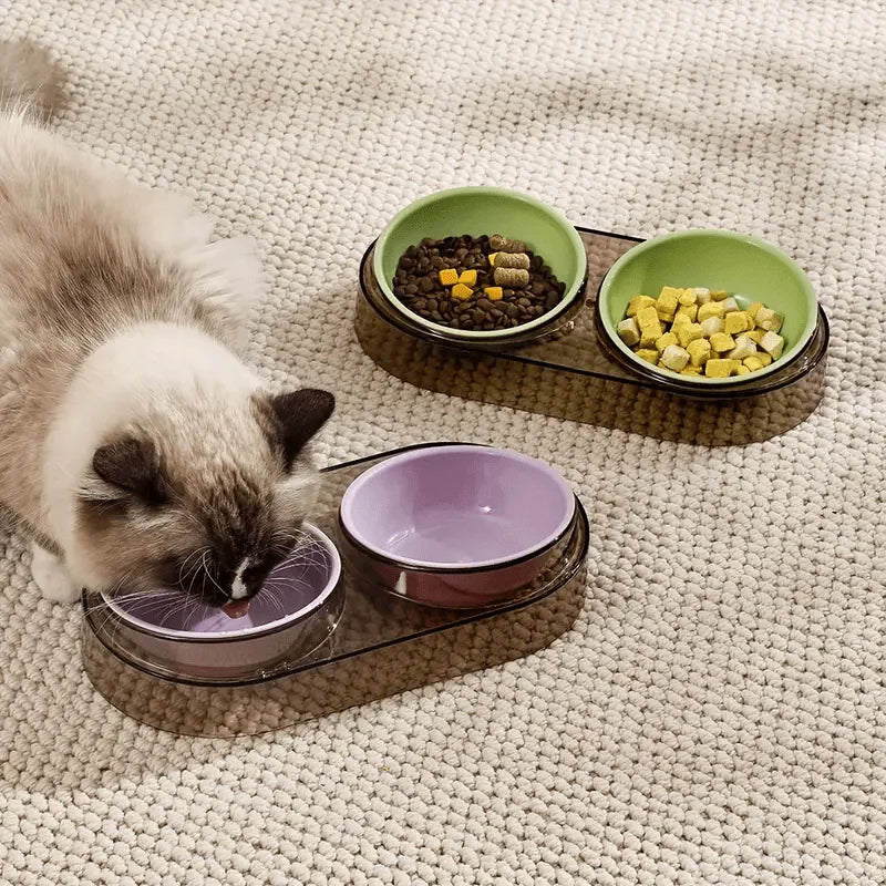 Tigelas transparentes 2 em 1 para alimentação de gatos com suporte elevado