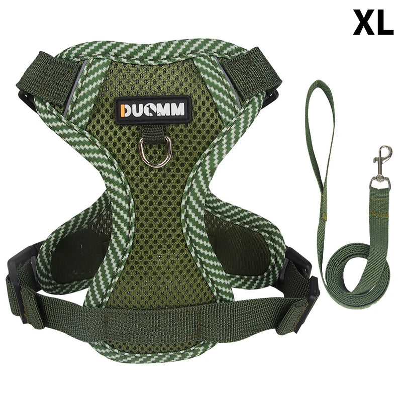 Conjunto de coleira, corda e colete refletor para gatos