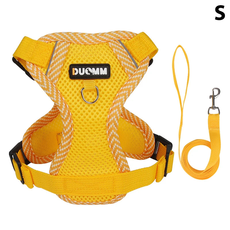 Conjunto de coleira, corda e colete refletor para gatos