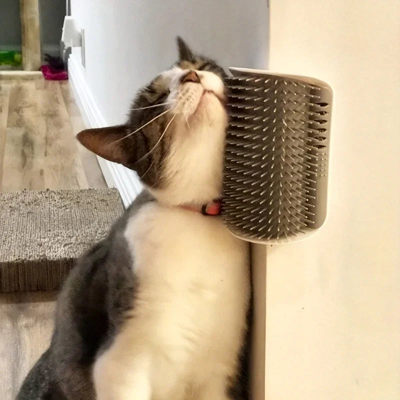 Escova de parede para higiene de gatos