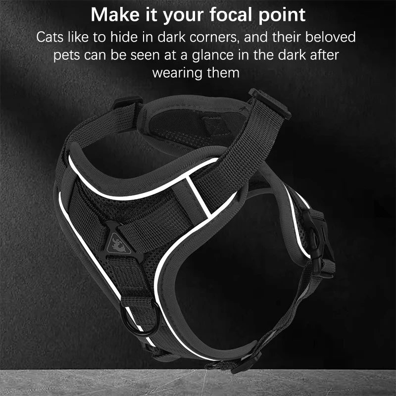 Conjunto de coleira, corda e colete refletor para gatos