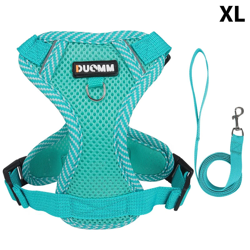 Conjunto de coleira, corda e colete refletor para gatos