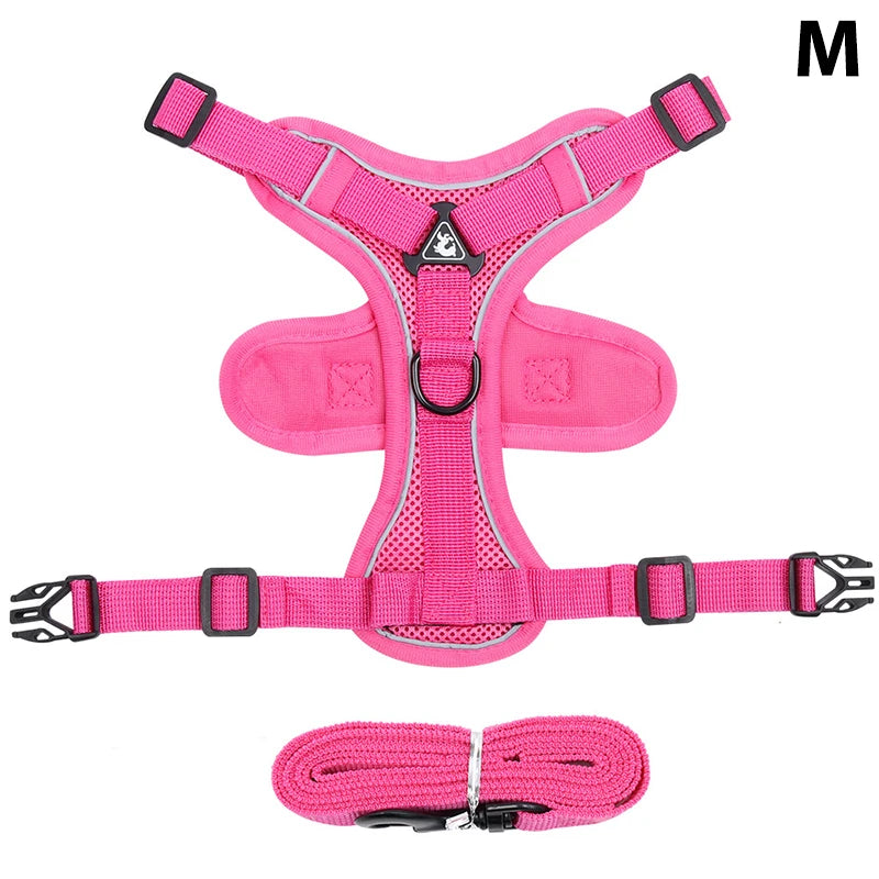 Conjunto de coleira, corda e colete refletor para gatos