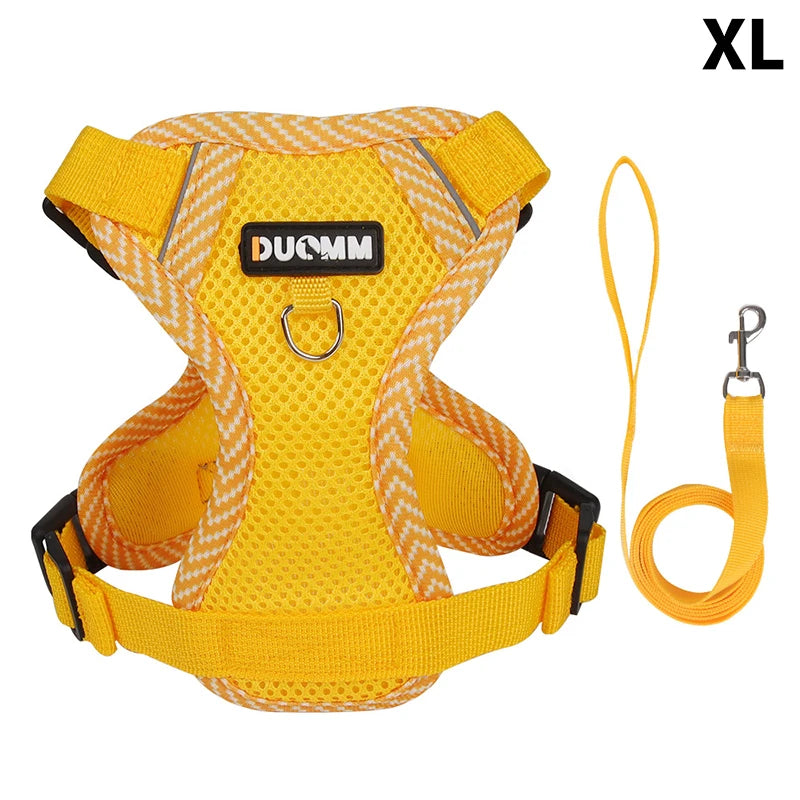 Conjunto de coleira, corda e colete refletor para gatos