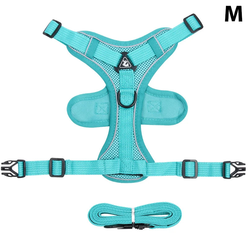 Conjunto de coleira, corda e colete refletor para gatos