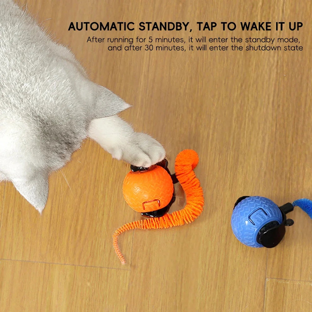 Bola de brinquedo para gatos é transportada via USB e possui uma estrutura de plástico resistente, proporcionando entretenimento interativo para os felinos