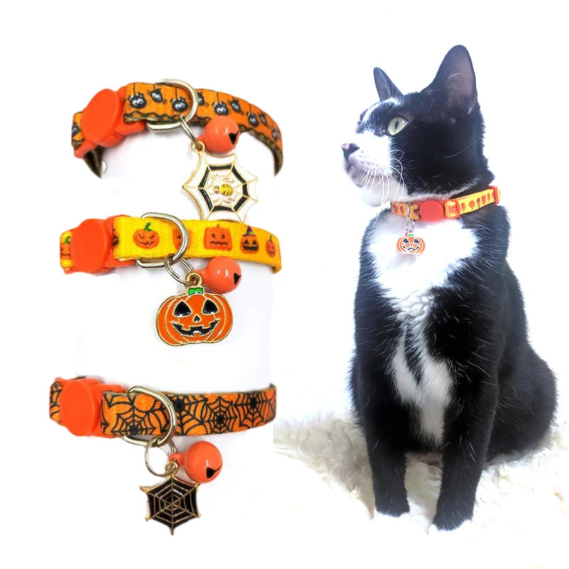 Coleira de Halloween para Gatos