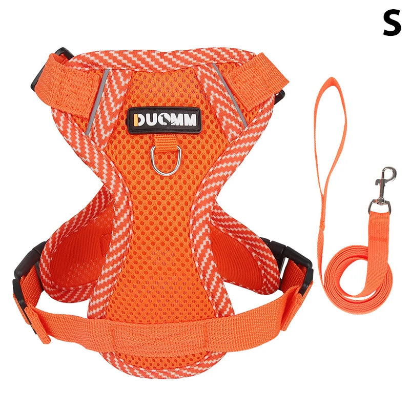 Conjunto de coleira, corda e colete refletor para gatos