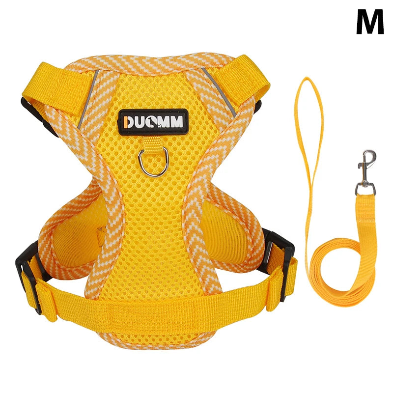 Conjunto de coleira, corda e colete refletor para gatos