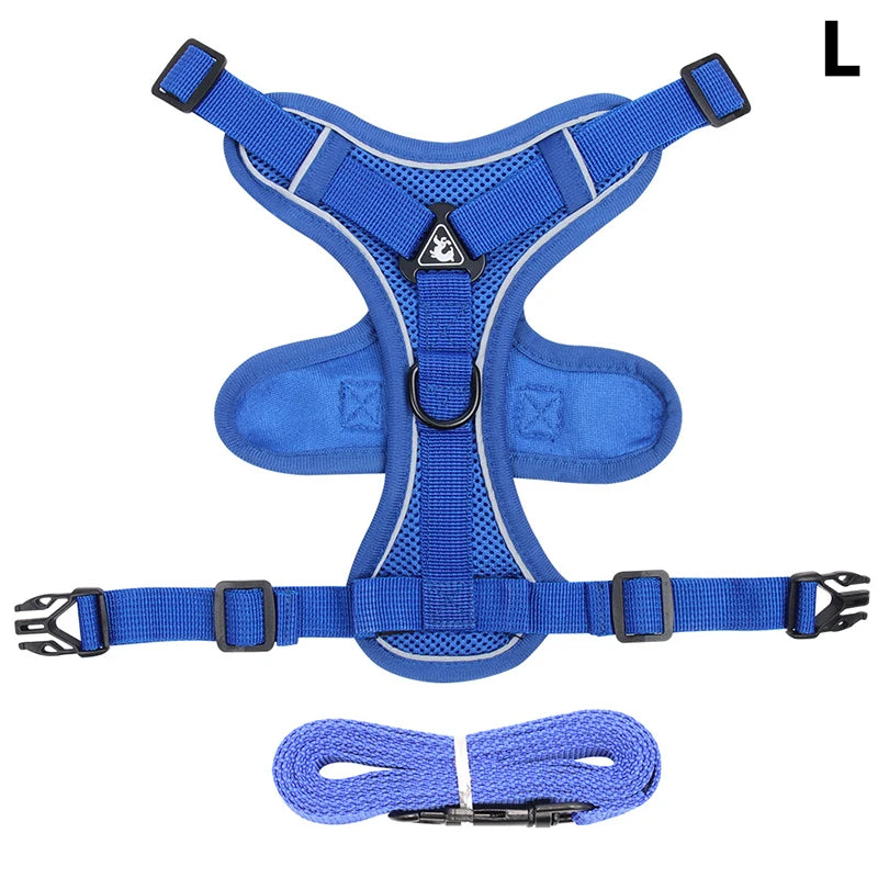 Conjunto de coleira, corda e colete refletor para gatos